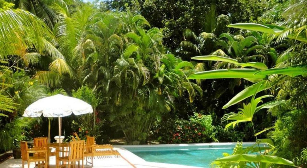 Hotel Roca Verde Beachfront ปุนตาเรนาส ภายนอก รูปภาพ